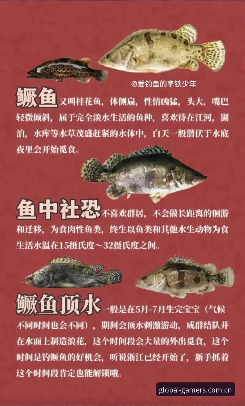 汇聚全球玩家官方APP下载 爱游戏体育平台v6.2.0更新深度分析:避开90%用户踩过的三大下载与登录陷阱